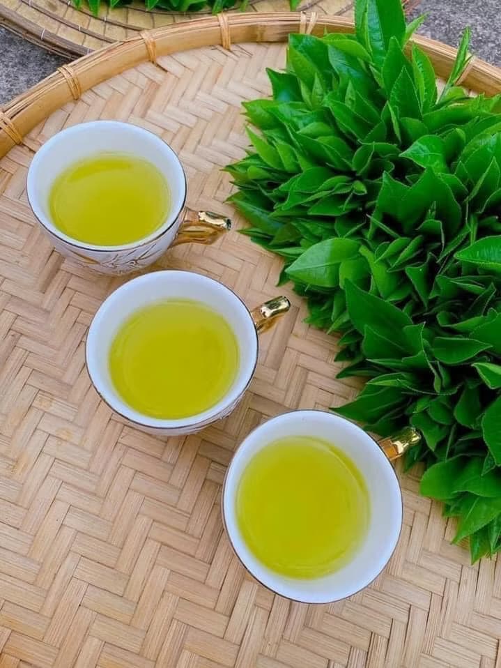Hình ảnh 2