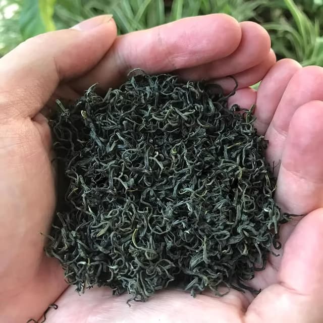 Tea Benefits Overlay